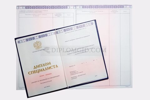 диплом РосНОУ